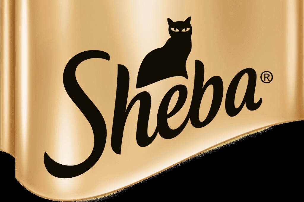 Sheba Sheba