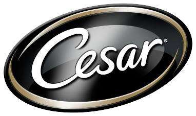 Cesar Cesar